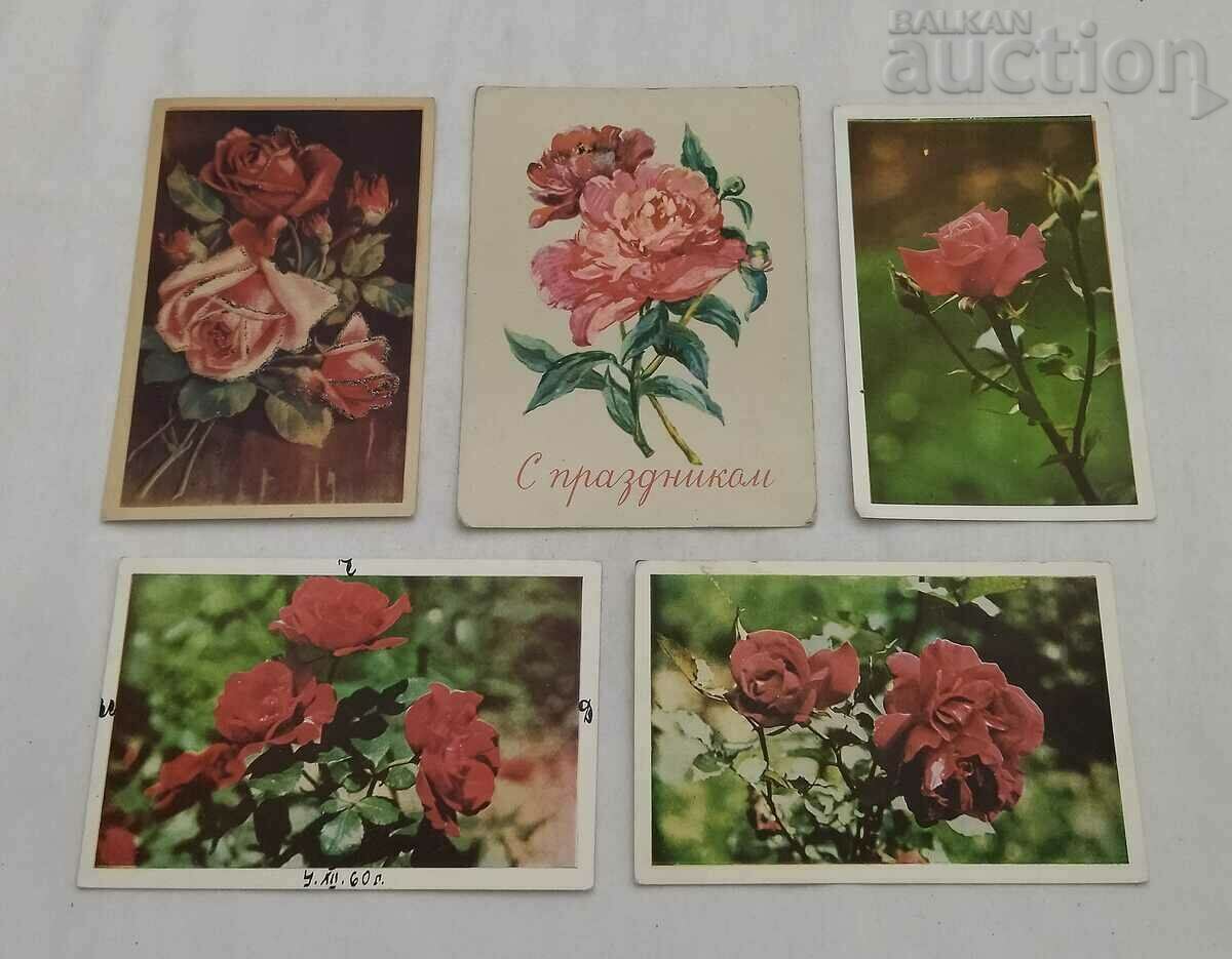 ΡΟΣΗ Τ.Κ. ΠΑΡΤΙΔΑ 10 ΤΕΜΑΧΙΑ με τιμή 5.00 BGN | € 2.56 ΡΟΣΗ Τ.Κ. ΠΑΡΤΙΔΑ 10 ΤΕΜΑΧΙΑ με τιμή 5.00 BGN | € 2.56