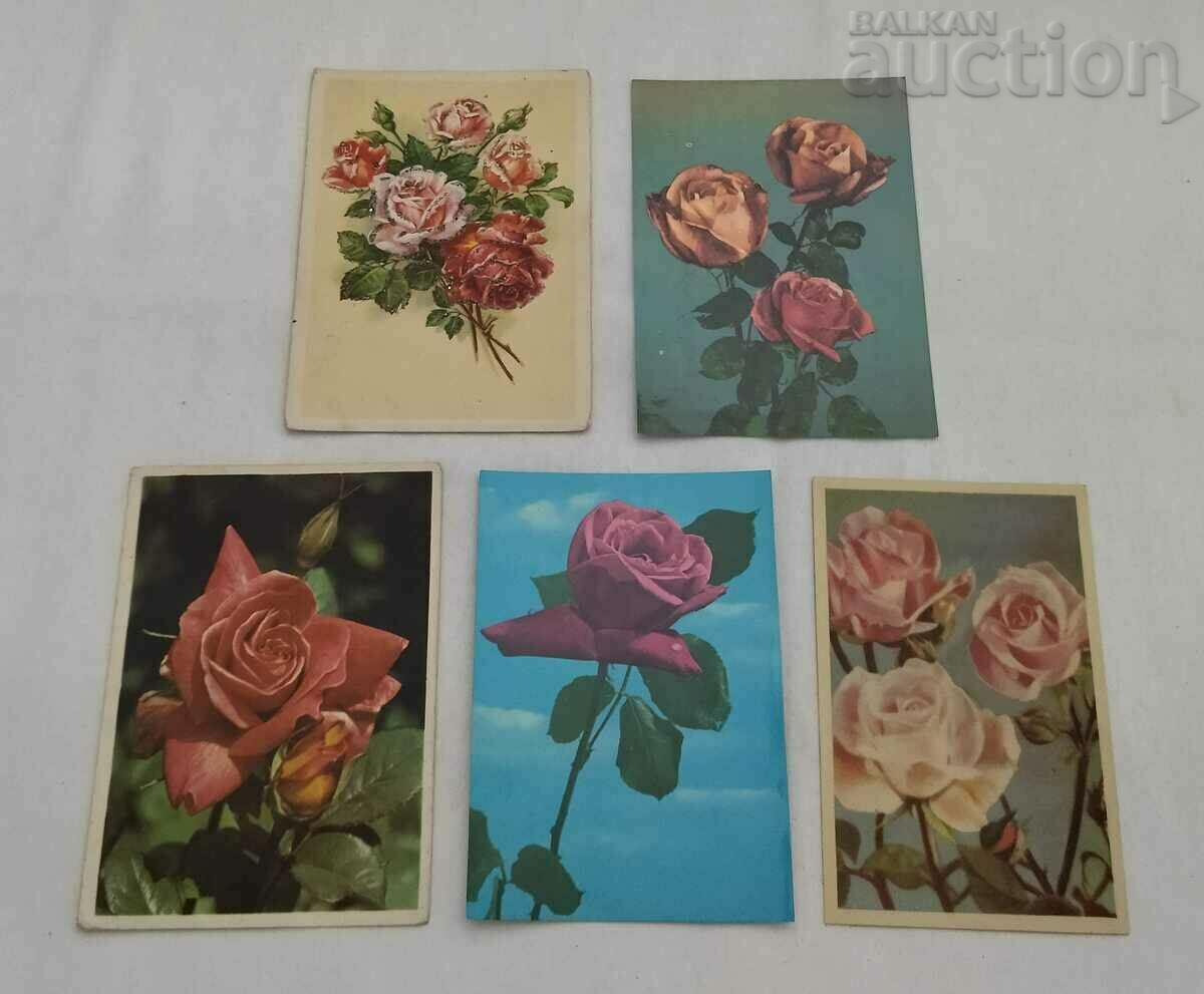 Δημοπρασία ΡΟΣΗ Τ.Κ. ΠΑΡΤΙΔΑ 10 ΤΕΜΑΧΙΑ Δημοπρασία ΡΟΣΗ Τ.Κ. ΠΑΡΤΙΔΑ 10 ΤΕΜΑΧΙΑ