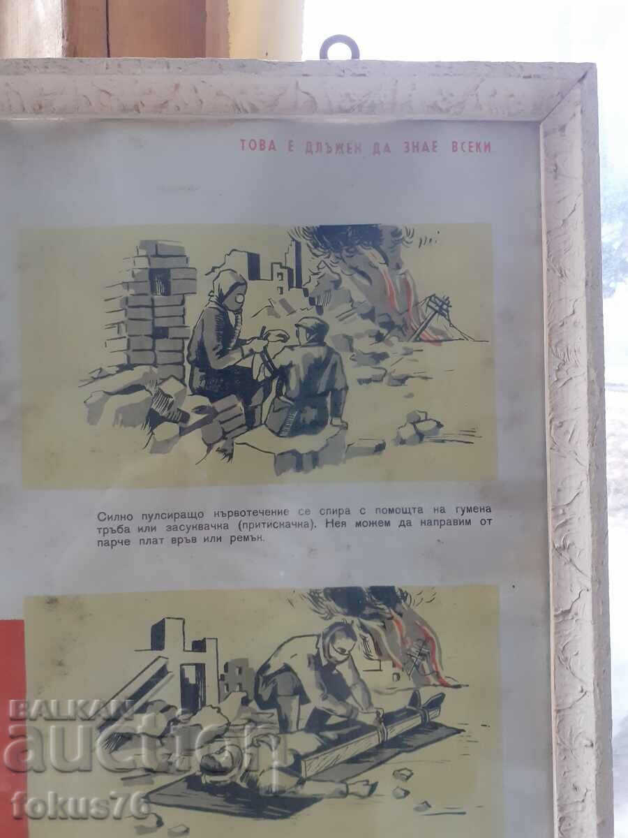 Unique large medical poster picture with frame Social slogans with price 190.00 BGN | € 97.15 Unique large medical poster picture with frame Social slogans with price 190.00 BGN | € 97.15