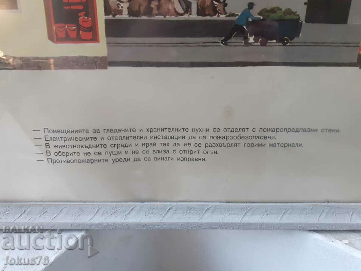 Auction Unique poster picture with frame Soc. animal breeding slogans Auction Unique poster picture with frame Soc. animal breeding slogans