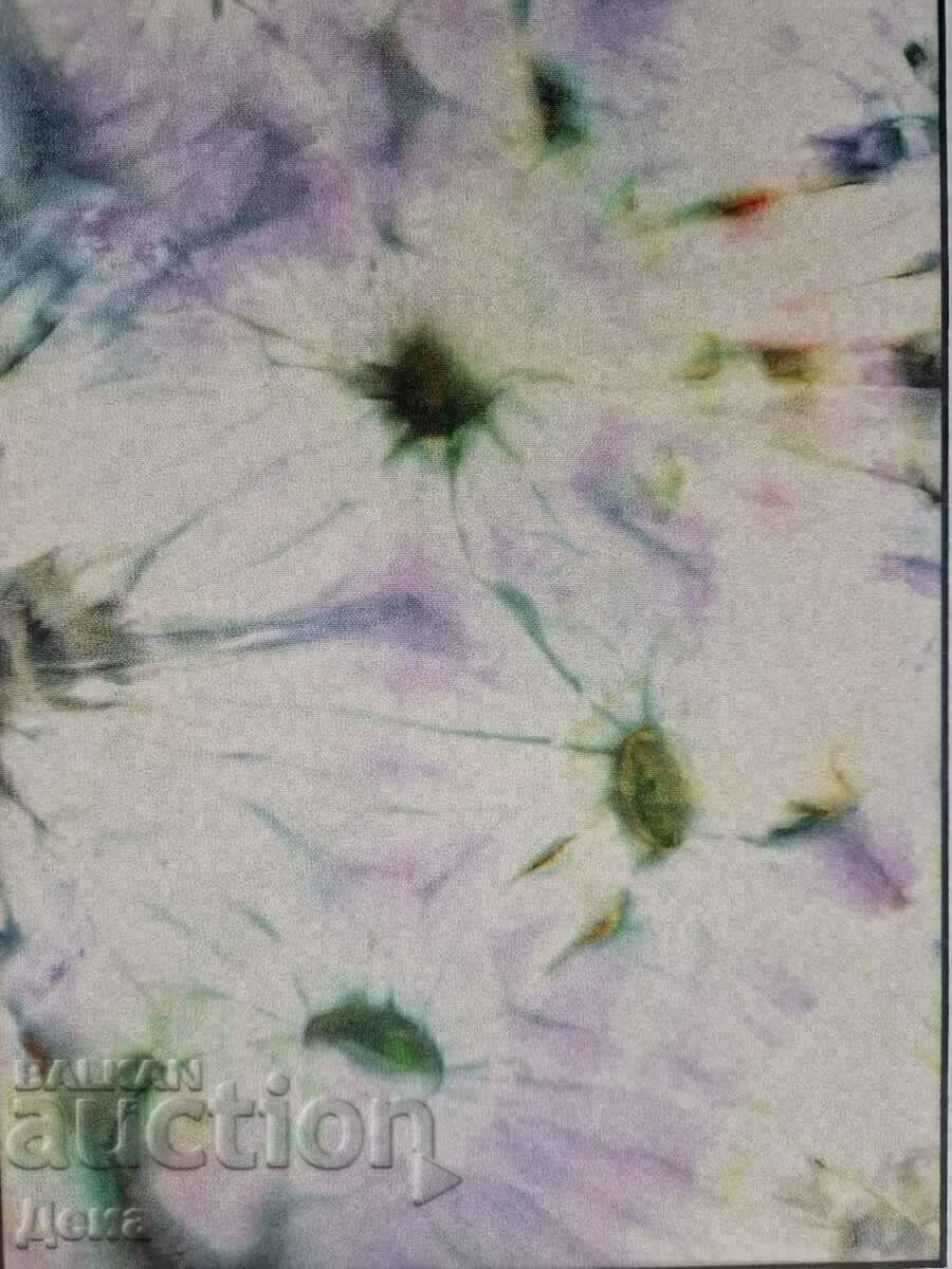 A beautiful painting on silk. - 5 A beautiful painting on silk. - 5