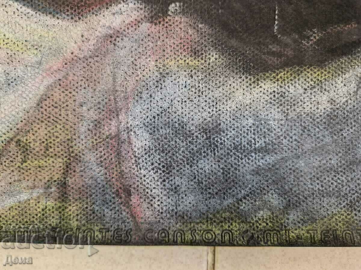 Livrarea Vasilia Stoilova pastel Livrarea Vasilia Stoilova pastel