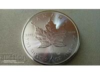 1 oz. from 2022 Maple Leaf