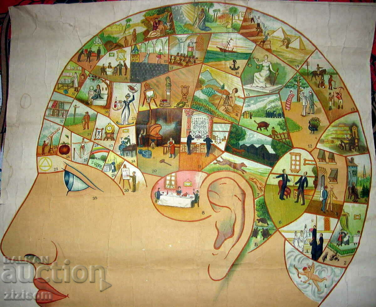 OLD LITHOGRAPH PHRENOLOGY CHART by RN FOWLER with price 320.00 BGN | € 163.61 OLD LITHOGRAPH PHRENOLOGY CHART by RN FOWLER with price 320.00 BGN | € 163.61