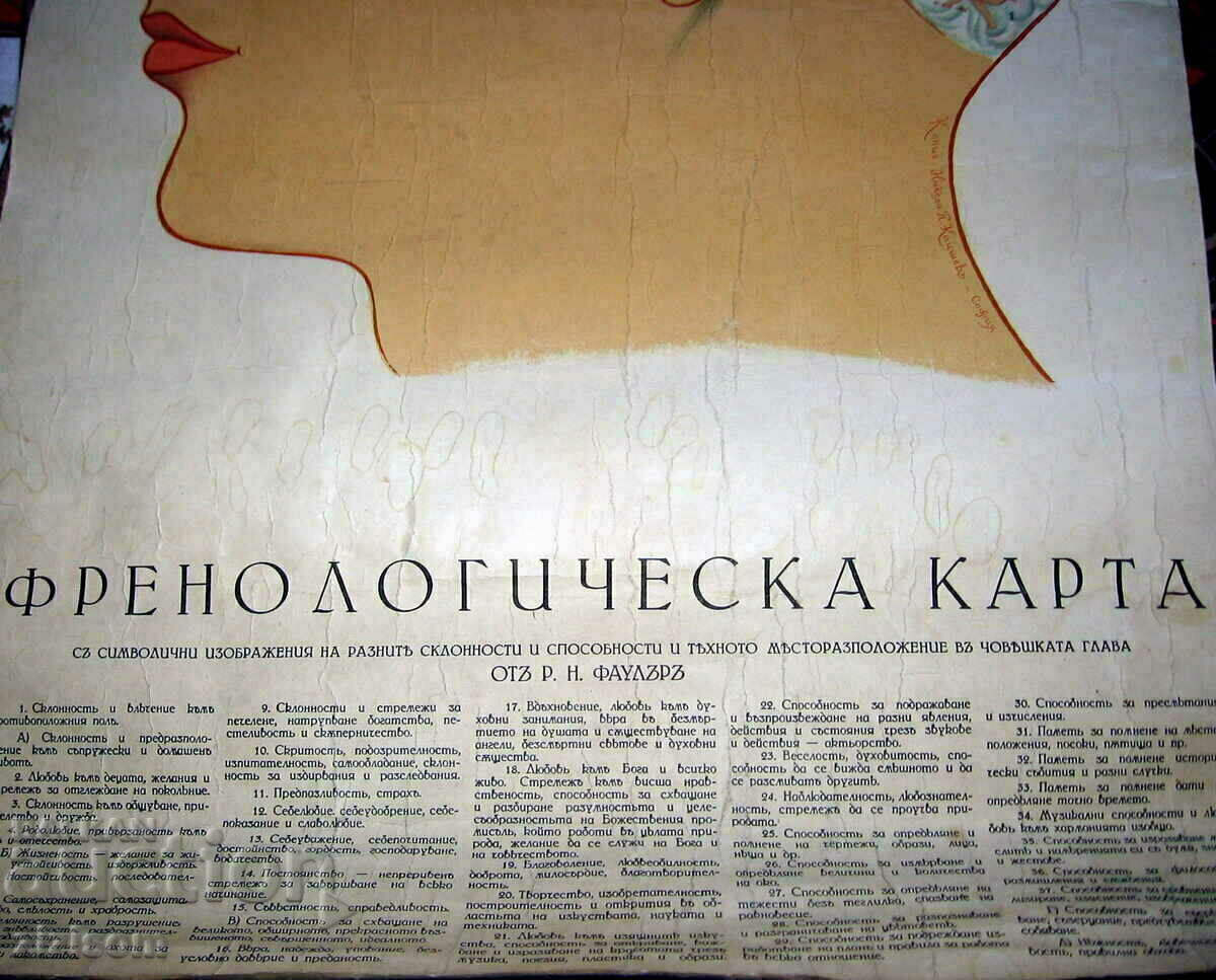 Auction OLD LITHOGRAPH PHRENOLOGY CHART by RN FOWLER Auction OLD LITHOGRAPH PHRENOLOGY CHART by RN FOWLER