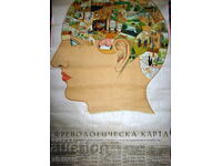 OLD LITHOGRAPH PHRENOLOGY CHART by RN FOWLER