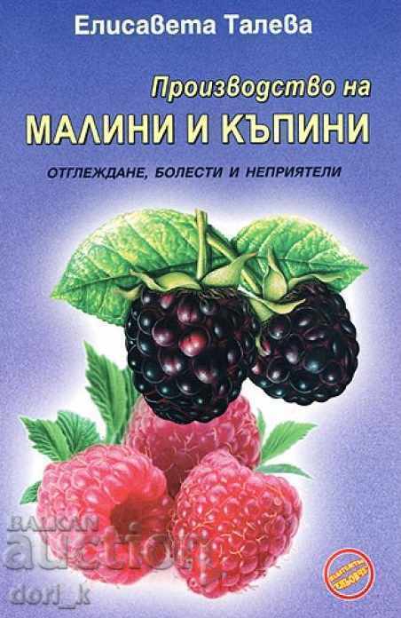 Production of raspberries and blackberries