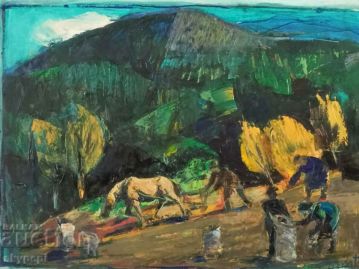 Auction Picture,,Potato Pickers,, Auction Picture,,Potato Pickers,,