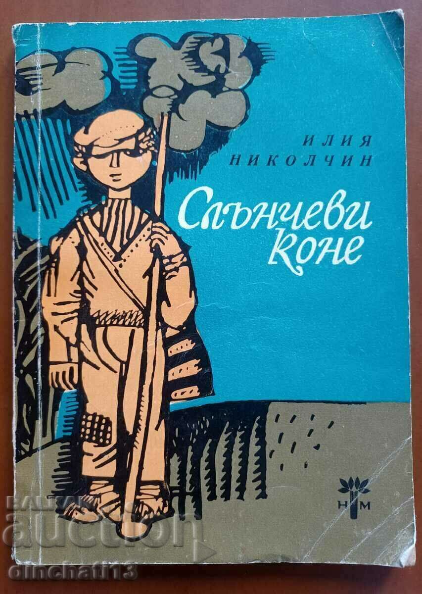 Solar horses: Iliya Nikolchin Solar horses: Iliya Nikolchin