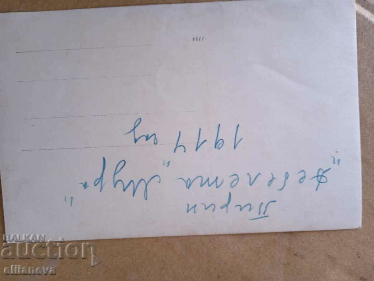 Delivery of Halogens Alfa Romeo GTV Delivery of Halogens Alfa Romeo GTV