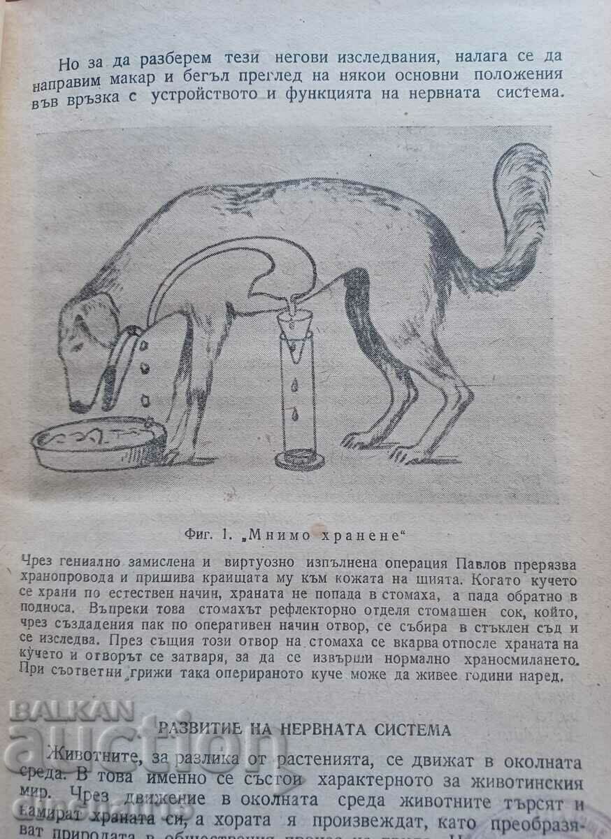 Delivery of Pavlov's physiological teaching: Dragomir Mateev Delivery of Pavlov's physiological teaching: Dragomir Mateev