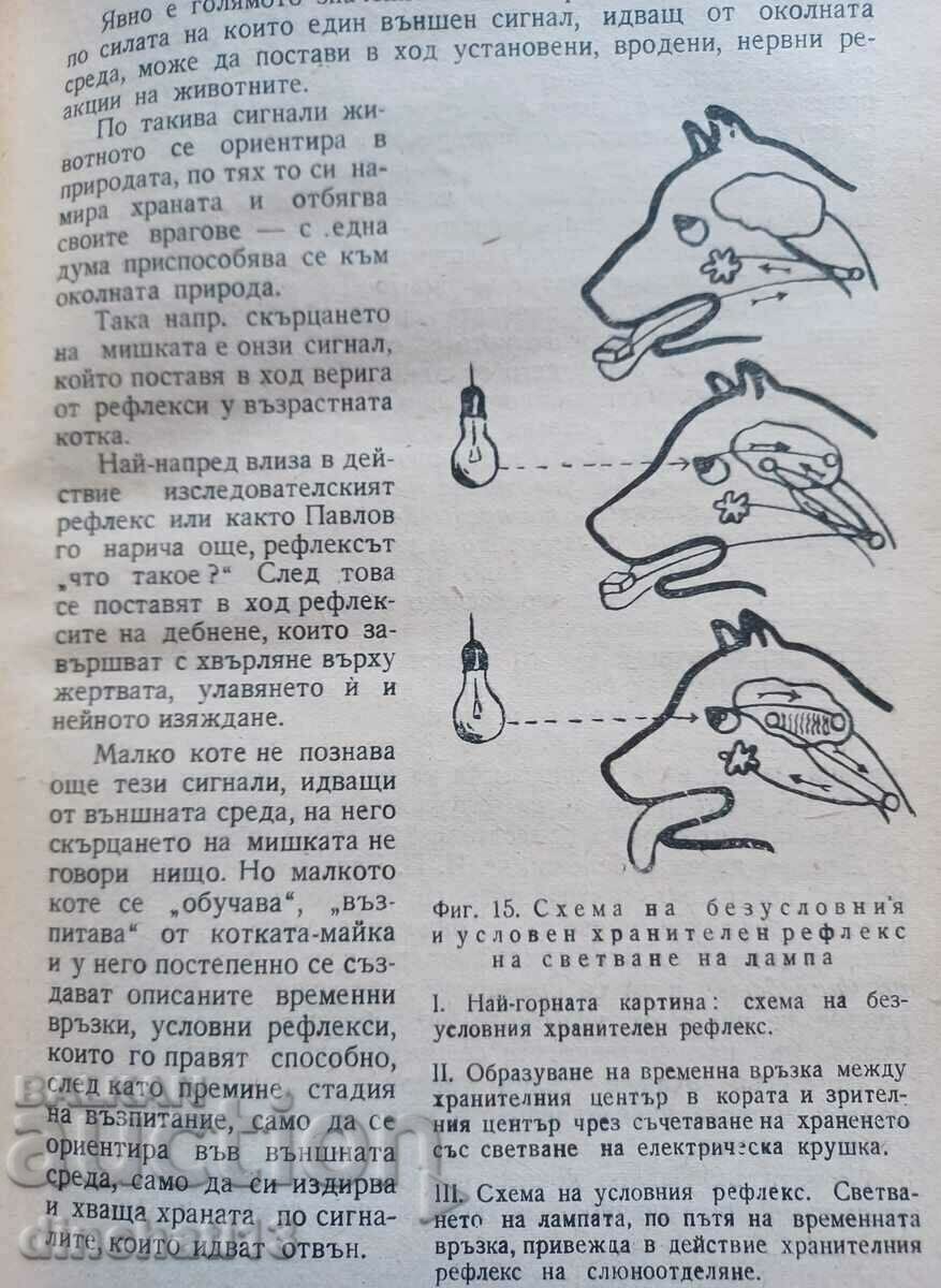Pavlov's physiological teaching: Dragomir Mateev - 5 Pavlov's physiological teaching: Dragomir Mateev - 5