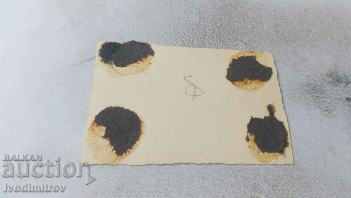 Photo Man, boy and girl in swimsuits in a mountain stream with price 1.85 BGN | € 0.95 Photo Man, boy and girl in swimsuits in a mountain stream with price 1.85 BGN | € 0.95