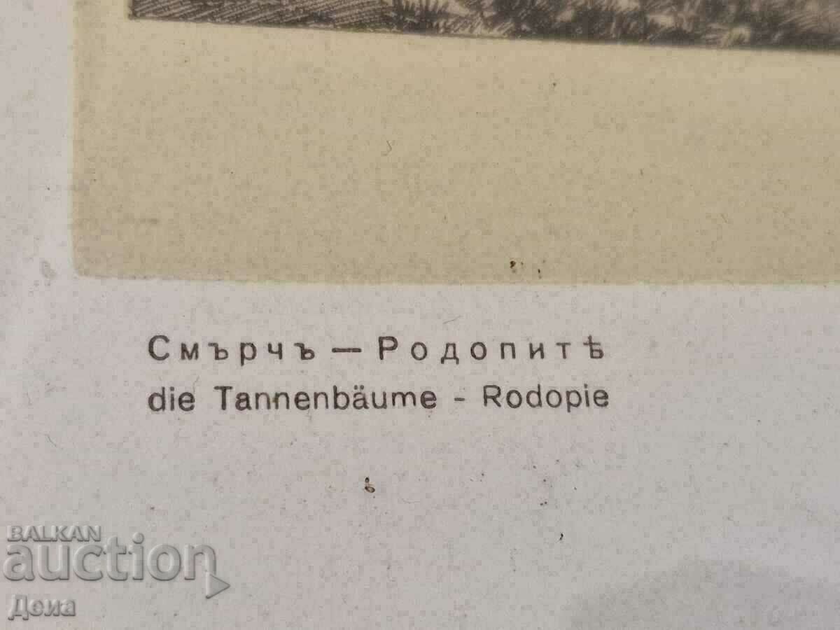 Auction  Nikola Pindikov reproduction 1941.