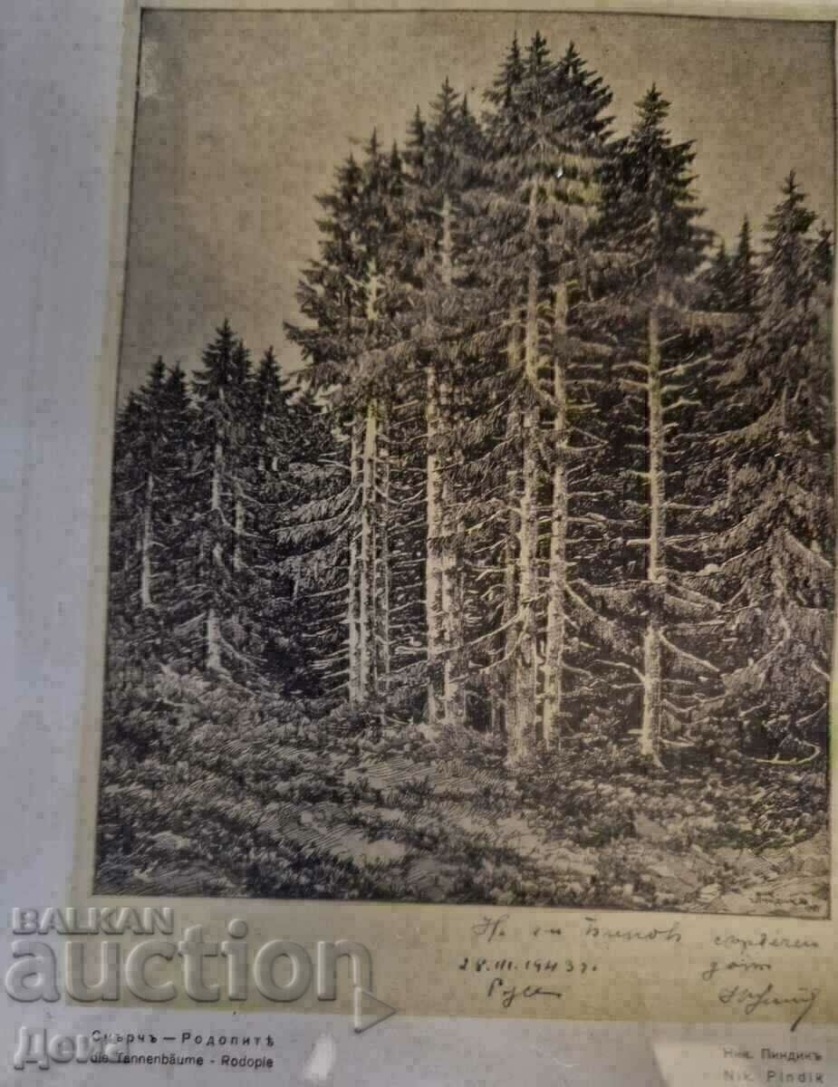 Reproducere Nikola Pindikov 1941. - 5