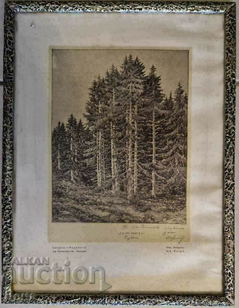 Nikola Pindikov reproduction 1941.