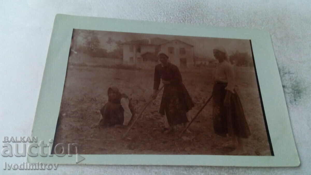 Foto Trei femei cu sape pe câmp