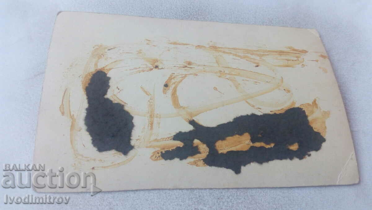 Φωτογραφία Νεαρό κορίτσι με ρετρό μαγιό στο γρασίδι με τιμή 2.85 BGN | € 1.46