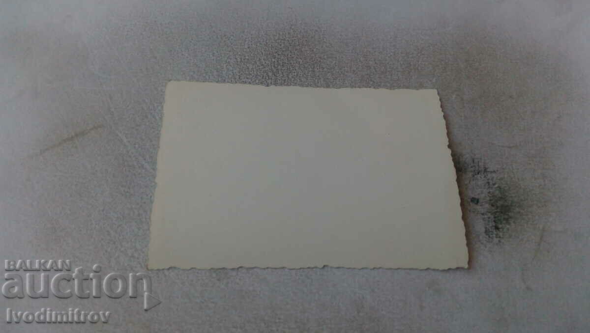 Photo Two reapers in fields with price 1.45 BGN | € 0.74 Photo Two reapers in fields with price 1.45 BGN | € 0.74