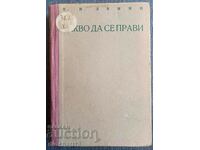 Τι μπορείς να κάνεις? Βλαντιμίρ Ι. Λένιν