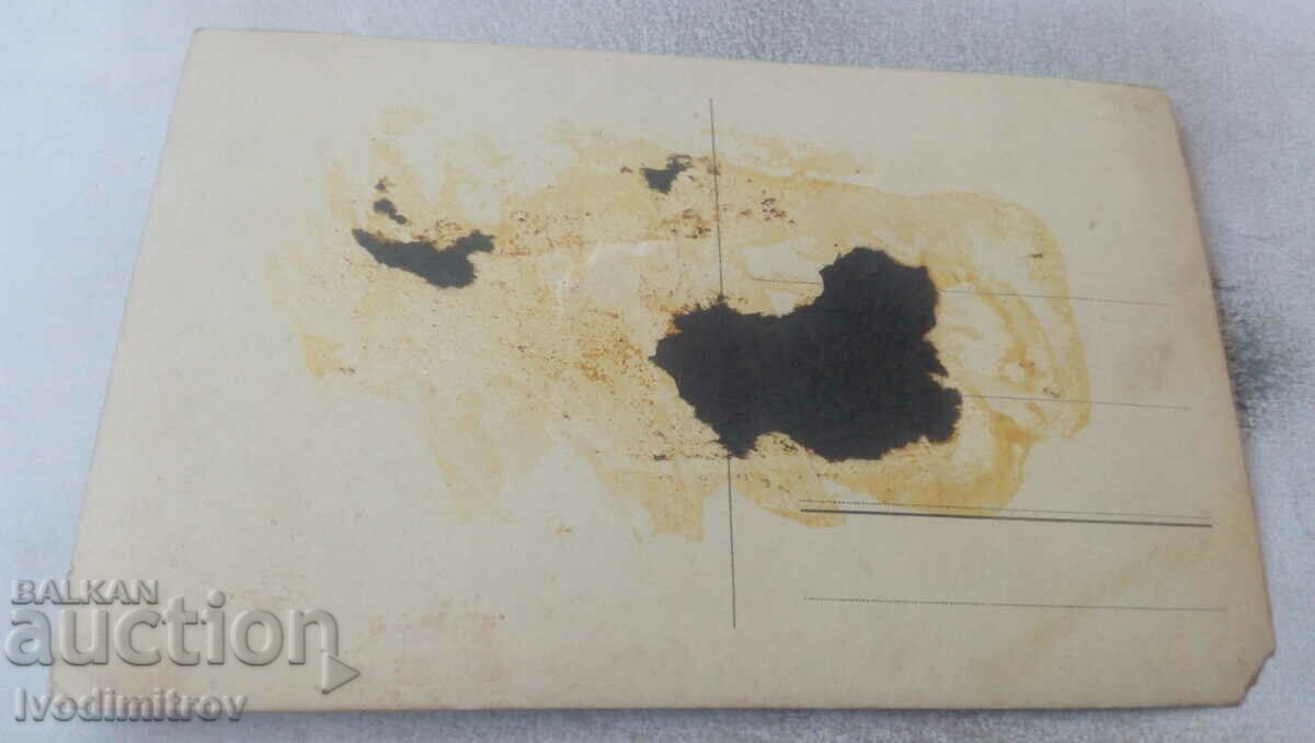 Photo Students in the park with price 1.75 BGN | € 0.89