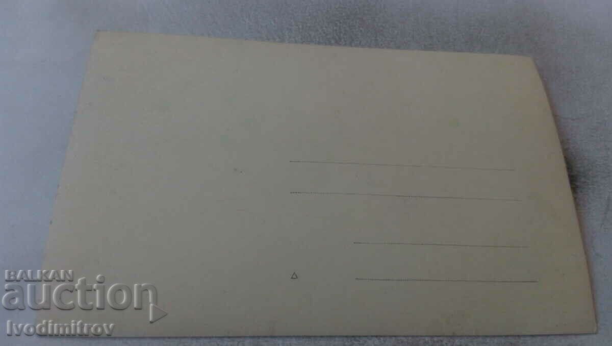 Photo Men and women in front of a gazebo with price 1.65 BGN | € 0.84 Photo Men and women in front of a gazebo with price 1.65 BGN | € 0.84