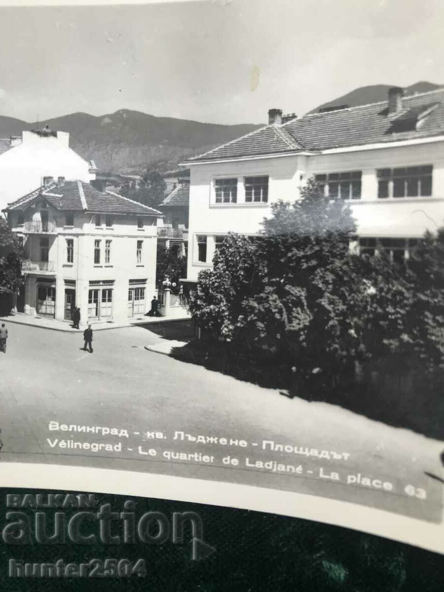 Auction  Cards 14/9 cm