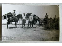 Fotografie ofițeri din regimentul de cavalerie PSV Edirne