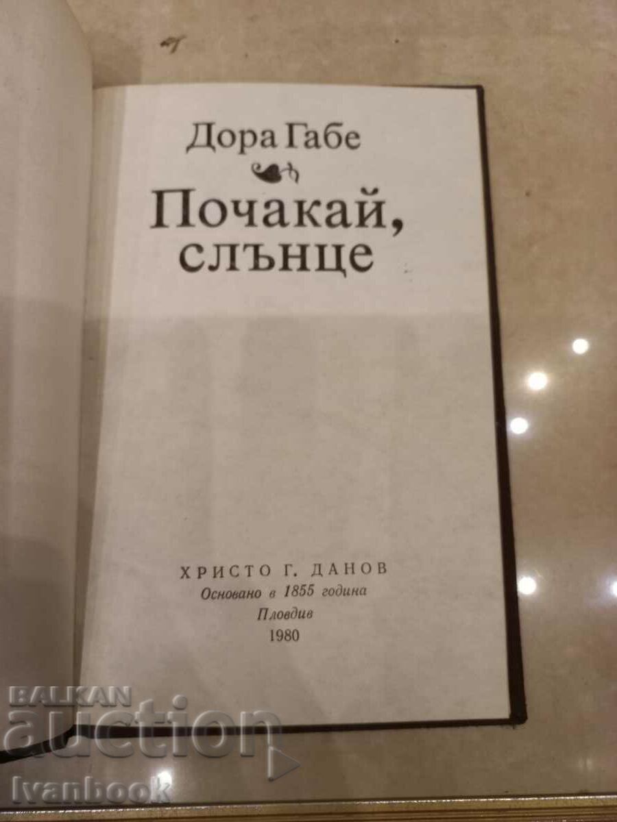 Auction Dora Gabe - Wait for the sun Auction Dora Gabe - Wait for the sun