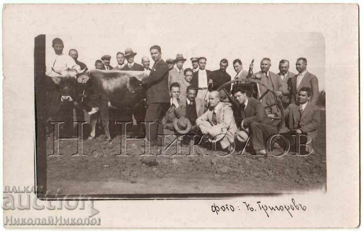 OLD PHOTO LIVESTOCK MARKET PHOTO GRIGOROV V976