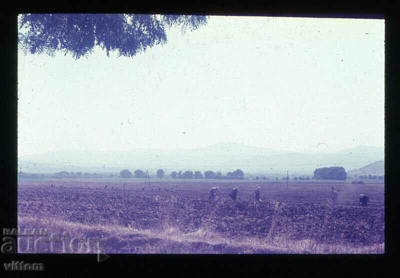 Κοντά στο Kazanlak 60s διαφάνεια κοινωνική νοσταλγία φωτογραφία