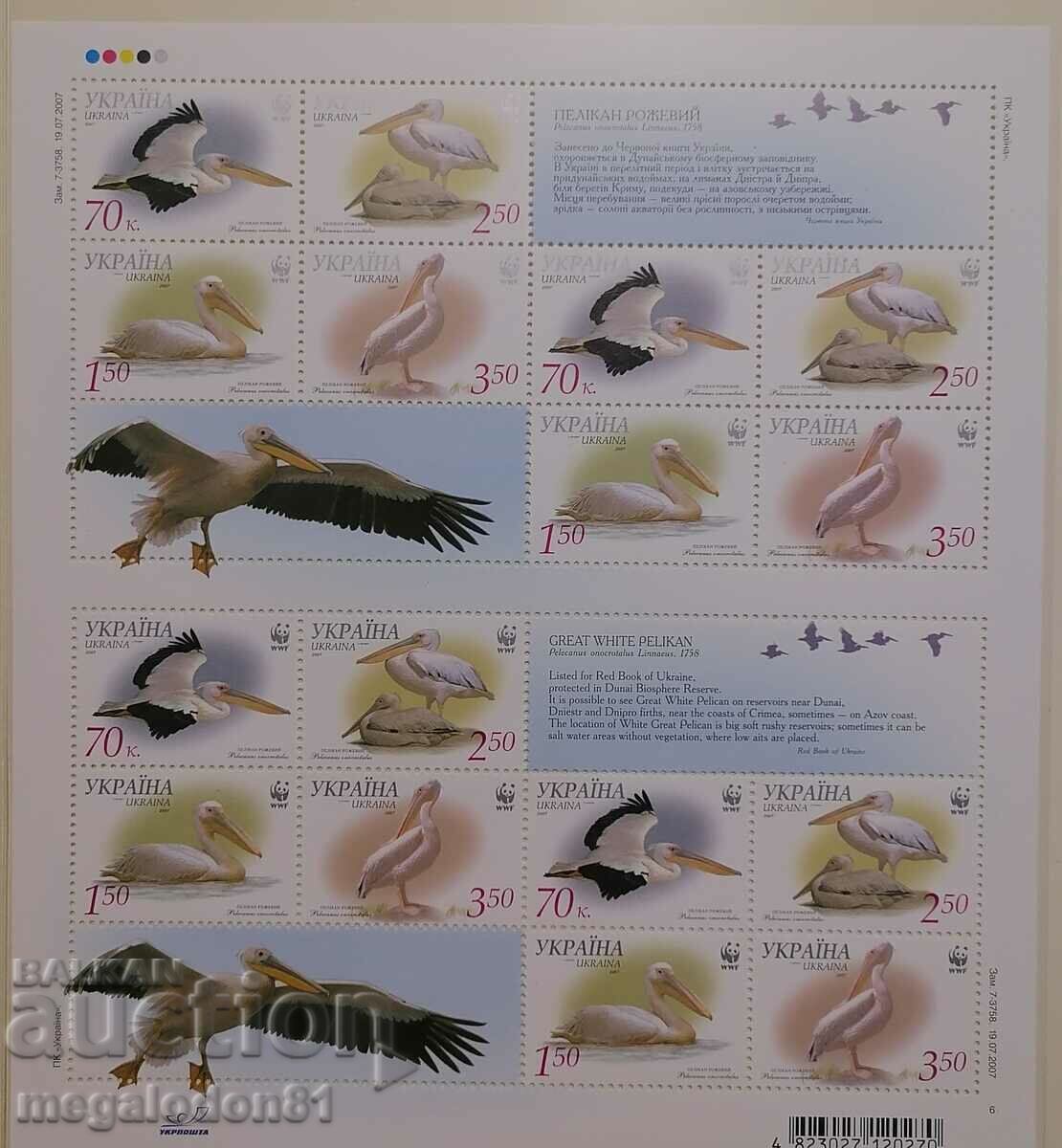 Ukraine - WWF, pelican