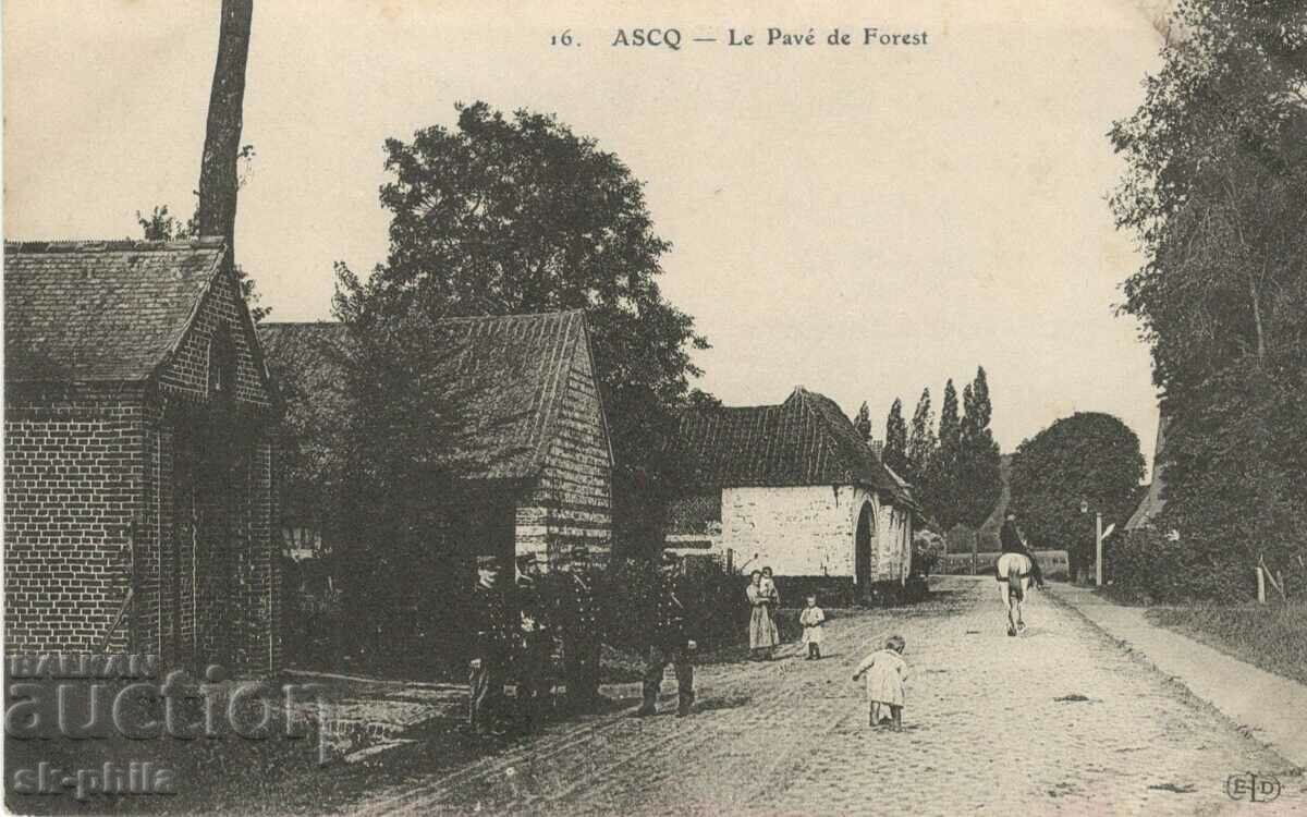 Παλιά καρτ ποστάλ - Ρωτήστε, πλακόστρωτος δρόμος στο δάσος