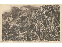 Стара картичка - Монако, Ботаническата градина
