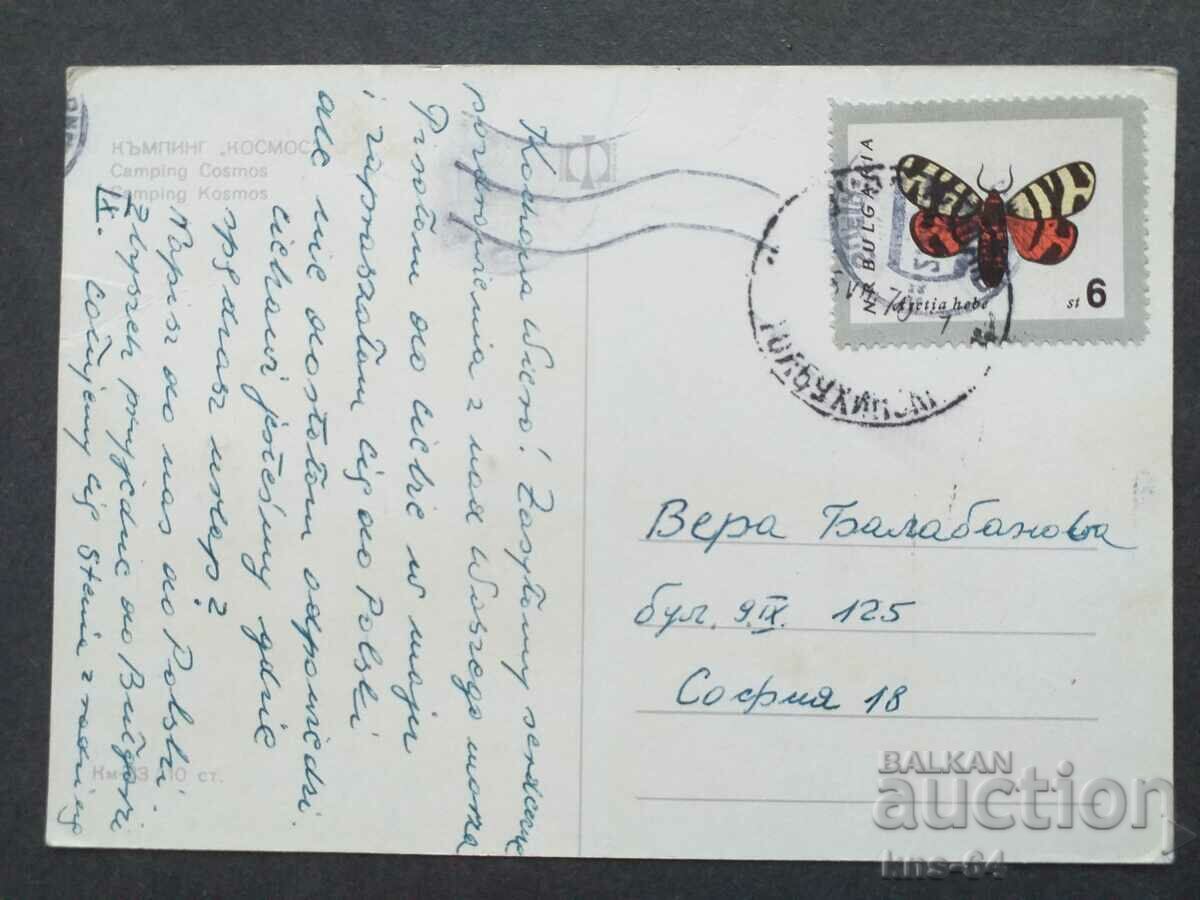 Cosmos Camping with price 0.55 BGN | € 0.28 Cosmos Camping with price 0.55 BGN | € 0.28