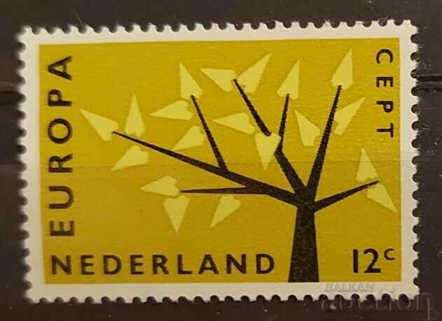 Netherlands 1962 Europe CEPT Flora MNH