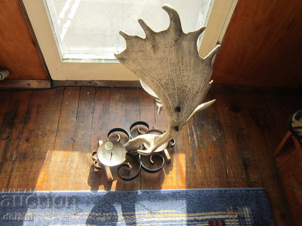 Δημοπρασία Γερμανικά μοναδική καράφα ελαφόκερων κηροπήγιο κελάρι τρόπαιο Δημοπρασία Γερμανικά μοναδική καράφα ελαφόκερων κηροπήγιο κελάρι τρόπαιο