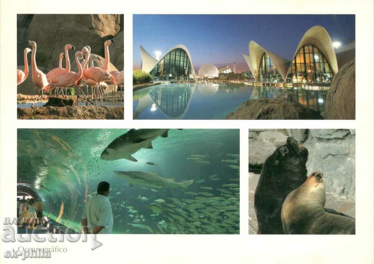 Old postcard - Valencia, Aquarium