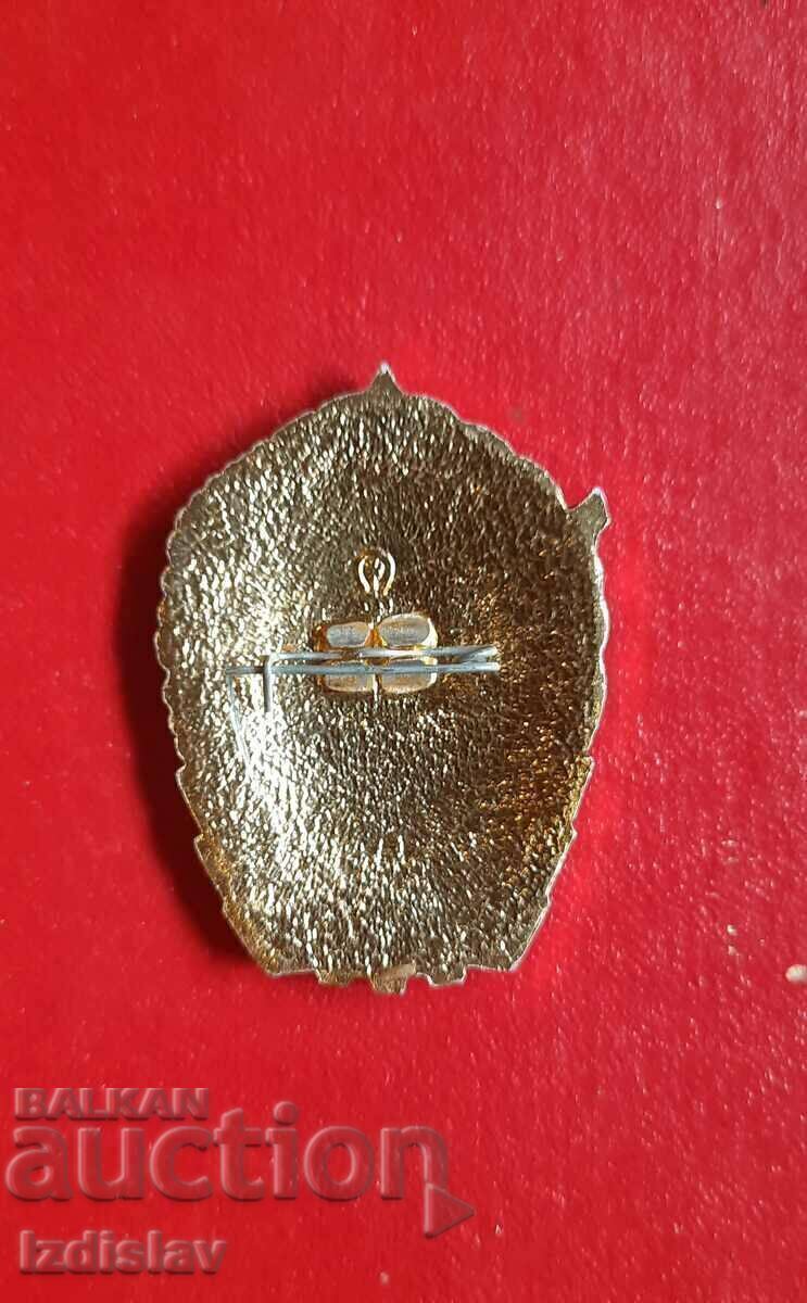 Badge of the USSR "Percussionist of the Eleventh Five-Year Plan" - 6 Badge of the USSR "Percussionist of the Eleventh Five-Year Plan" - 6