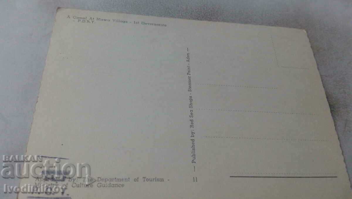 Postcard Camel at Hiswa Village with price 0.85 BGN | € 0.43 Postcard Camel at Hiswa Village with price 0.85 BGN | € 0.43