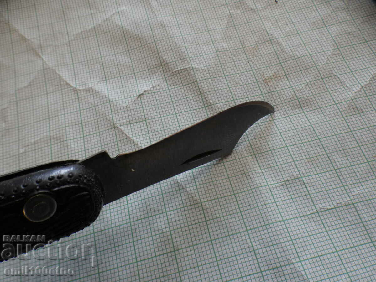 Old USSR orchard stalk - 6 Old USSR orchard stalk - 6