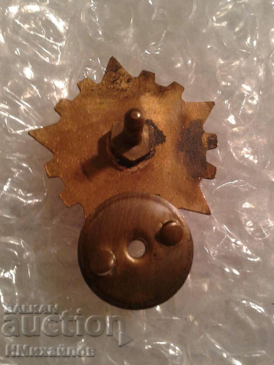 Auction  Badge - Read the description.