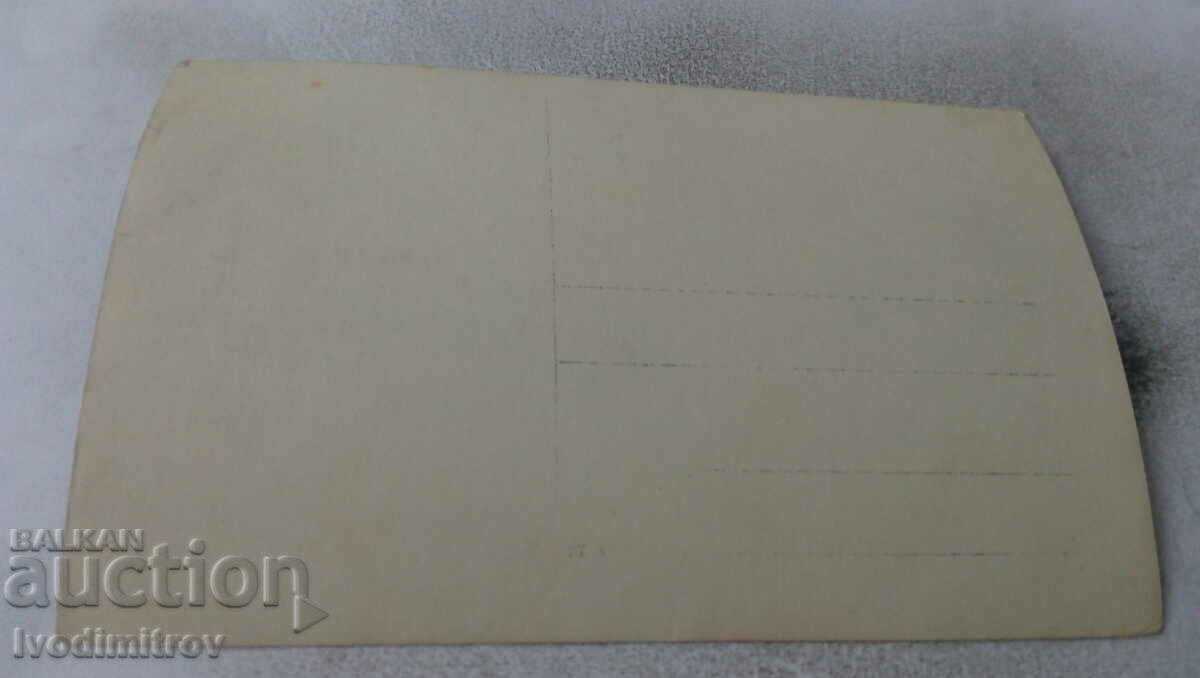 Photo Six youths on the meadow with price 1.45 BGN | € 0.74 Photo Six youths on the meadow with price 1.45 BGN | € 0.74