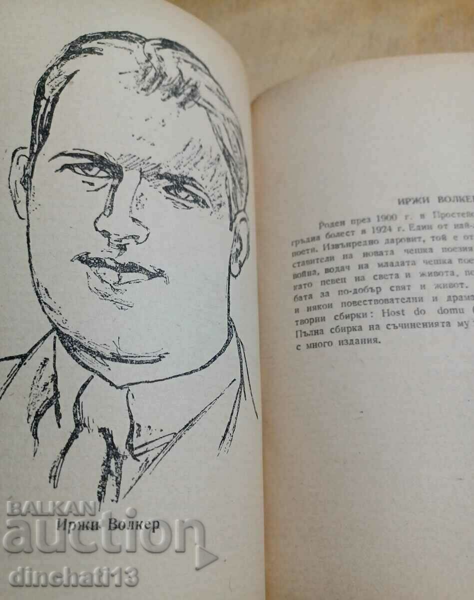 The mirrors of the Vltava. Czech poets - 5 The mirrors of the Vltava. Czech poets - 5