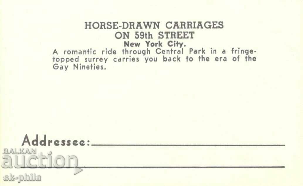 Old postcard - New York, Central Park with price 0.50 BGN | € 0.26 Old postcard - New York, Central Park with price 0.50 BGN | € 0.26