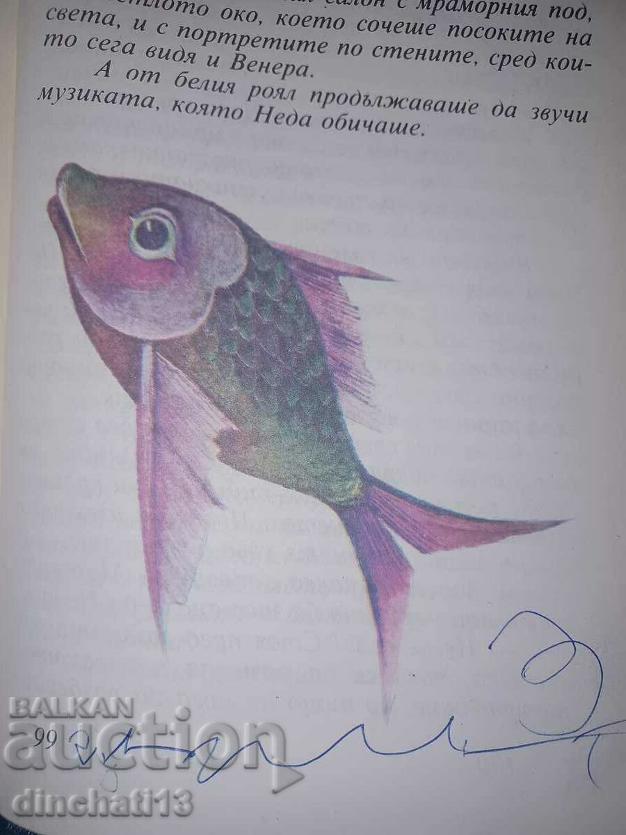 The castle of the captains - Elisaveta Kisimova - 5 The castle of the captains - Elisaveta Kisimova - 5