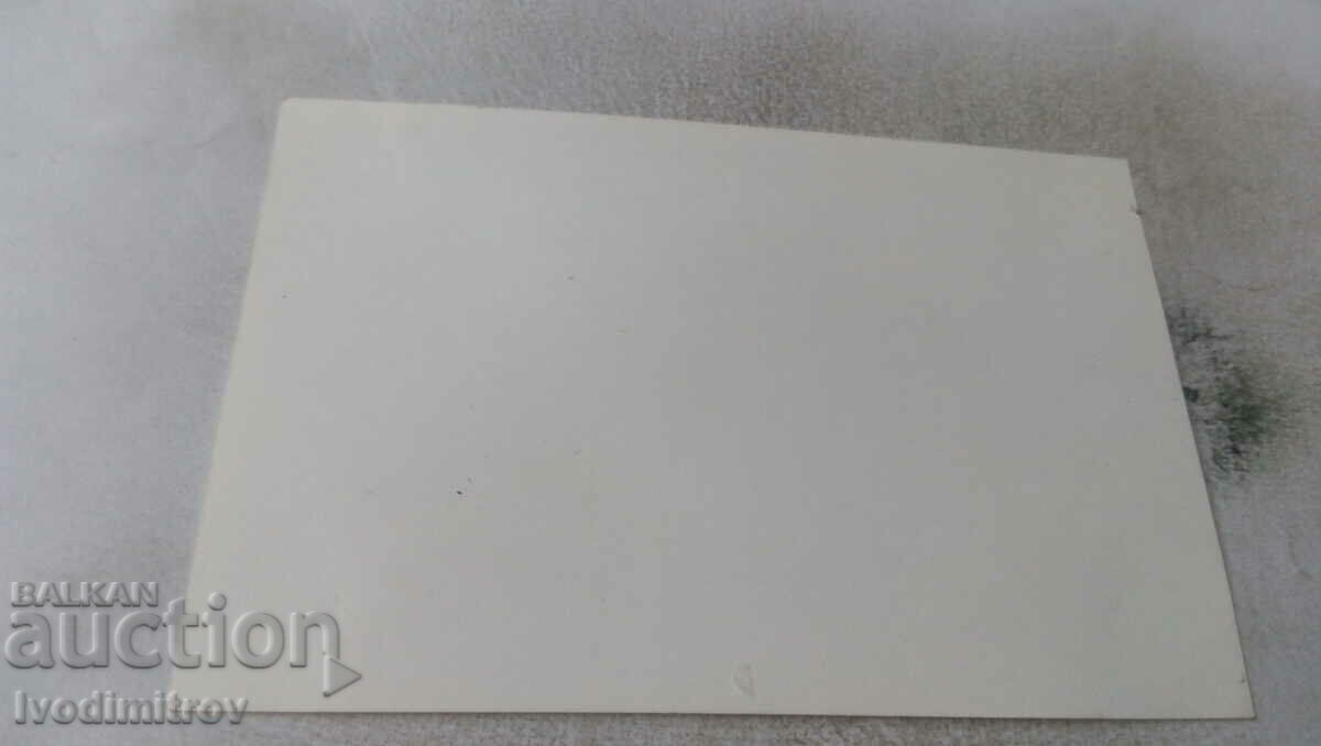 Φωτογραφία Νεόνυμφους με τιμή 1.35 BGN | € 0.69 Φωτογραφία Νεόνυμφους με τιμή 1.35 BGN | € 0.69