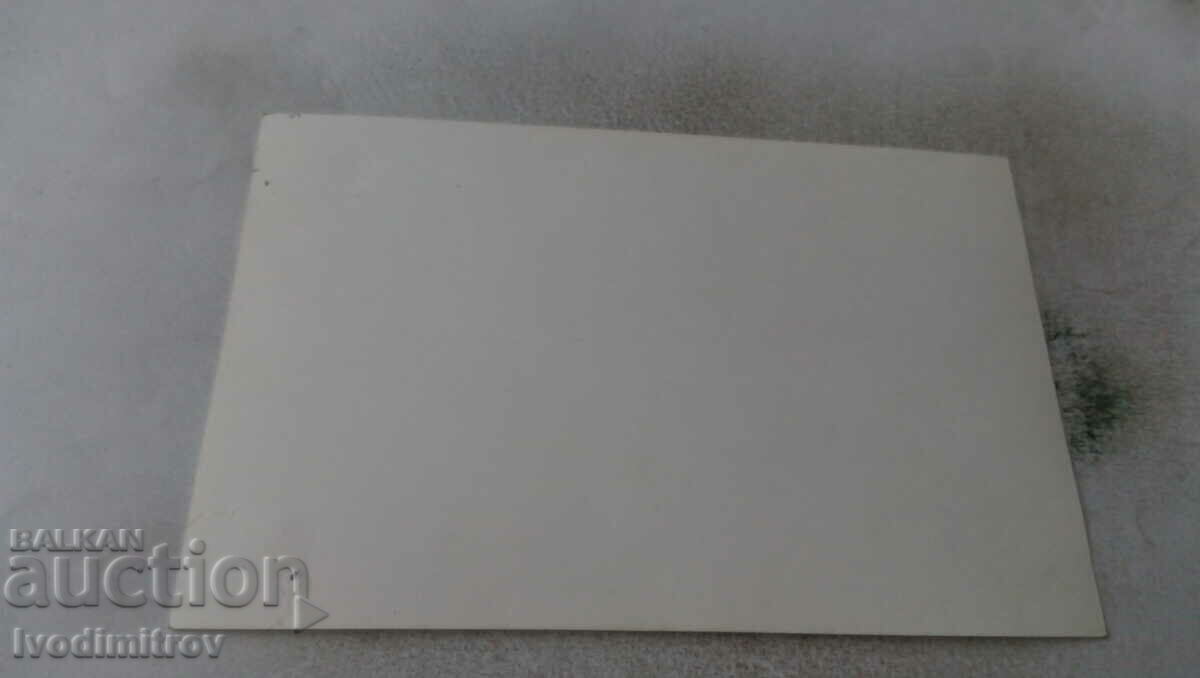 Photo of newlyweds with their friends with price 1.35 BGN | € 0.69 Photo of newlyweds with their friends with price 1.35 BGN | € 0.69