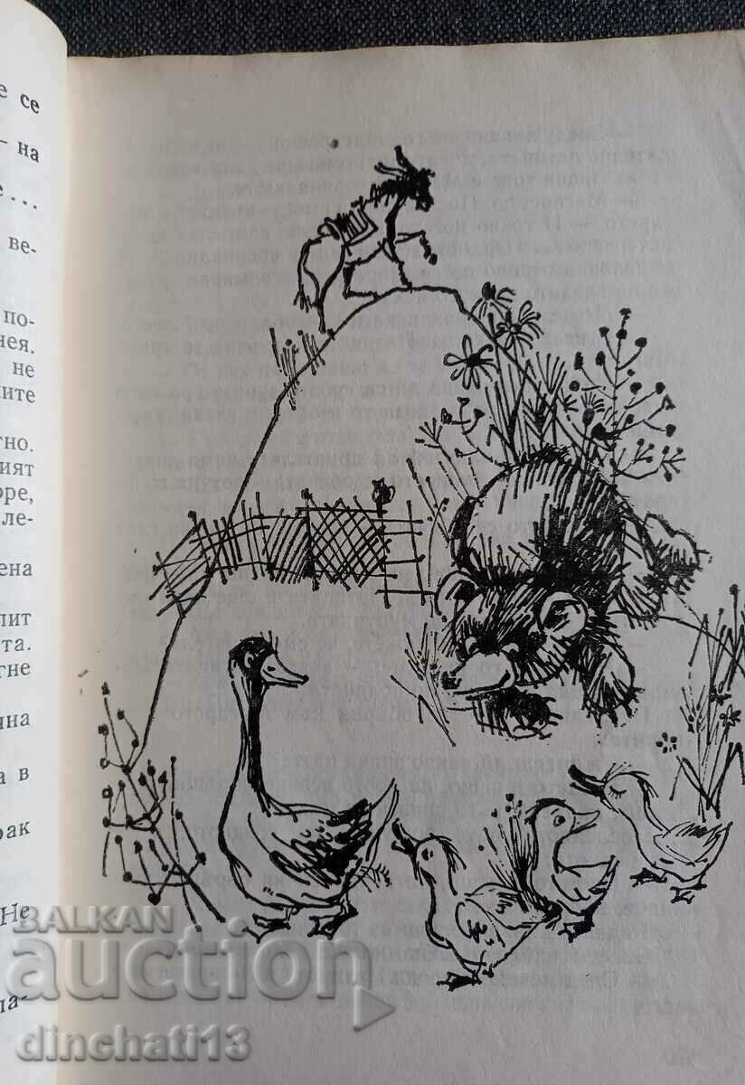 Auction Hey kid - Rada Moskova Auction Hey kid - Rada Moskova