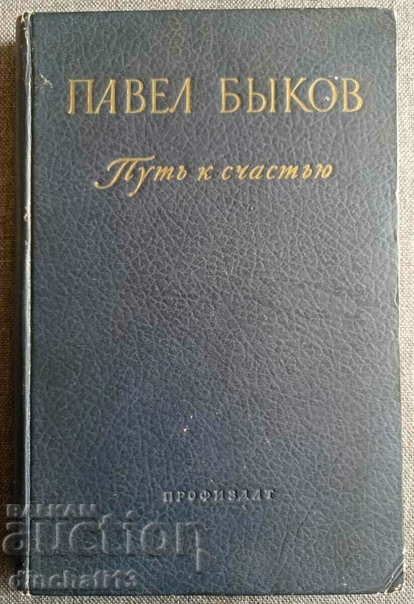 Path to happiness - Pavel Bykov Path to happiness - Pavel Bykov